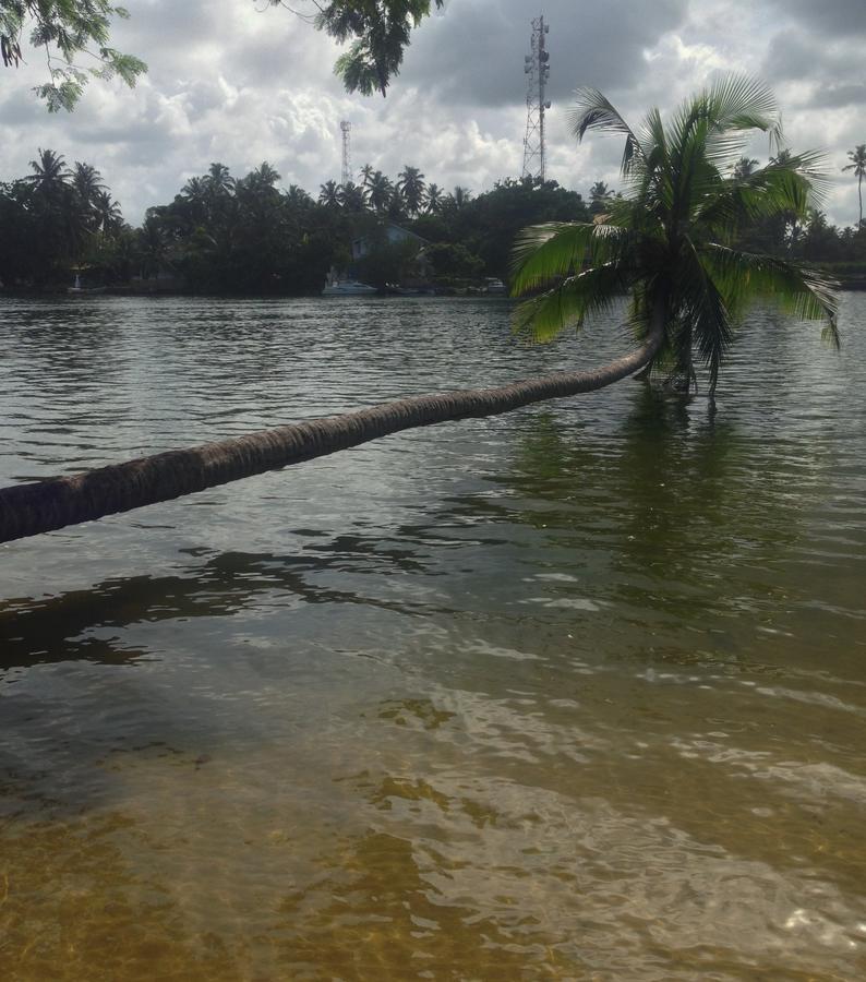 Supun Villa Bentota Exteriör bild